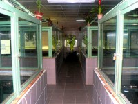 /album/fotogalerie-zoo-protivin-krokodyli-zoologicka-zahrada/krokodyli-zoo-protivin3-jpg1/